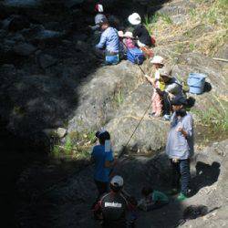 安倍川・藁科川（安倍藁科川漁業協同組合） 釣果