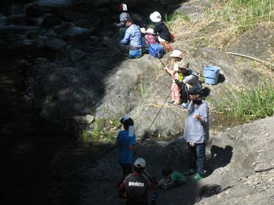 安倍川・藁科川（安倍藁科川漁業協同組合） 釣果