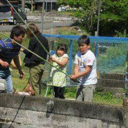 安倍川・藁科川（安倍藁科川漁業協同組合） 釣果
