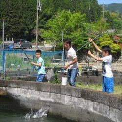 安倍川・藁科川（安倍藁科川漁業協同組合） 釣果