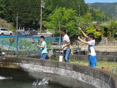 安倍川・藁科川（安倍藁科川漁業協同組合） 釣果