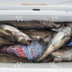 Aquanaut(アクアノート) 釣果