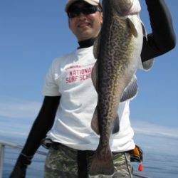 Aquanaut（アクアノート） 釣果