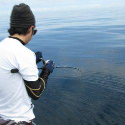 Aquanaut（アクアノート） 釣果