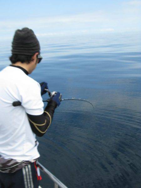 Aquanaut（アクアノート） 釣果