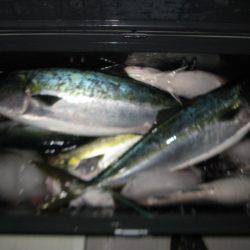 Aquanaut(アクアノート) 釣果