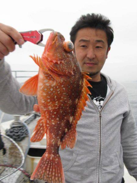 Aquanaut(アクアノート) 釣果