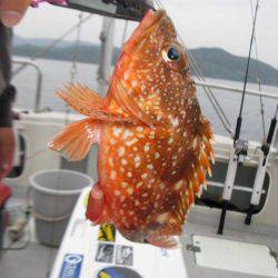 Aquanaut(アクアノート) 釣果