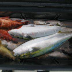 Aquanaut(アクアノート) 釣果