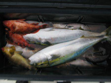 Aquanaut(アクアノート) 釣果