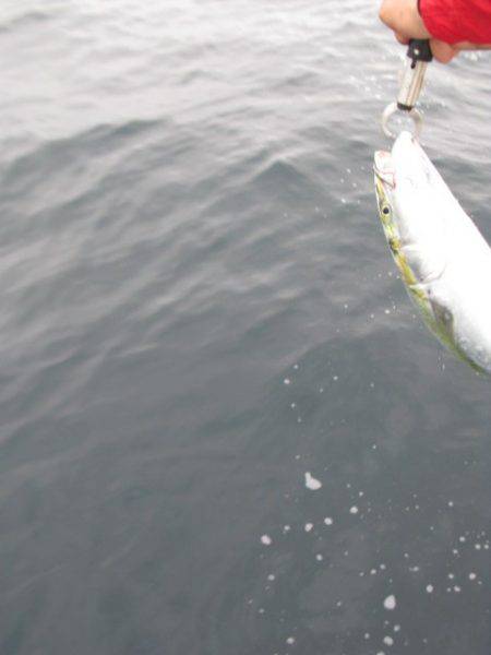 Aquanaut(アクアノート) 釣果