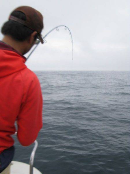 Aquanaut(アクアノート) 釣果