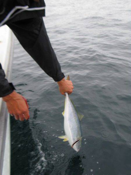 Aquanaut(アクアノート) 釣果