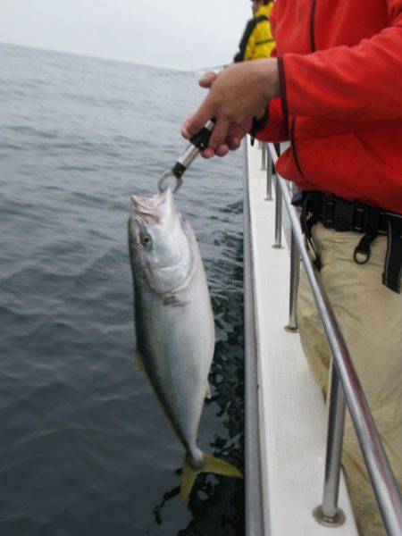 Aquanaut(アクアノート) 釣果