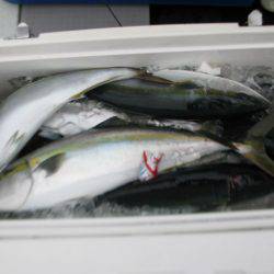 Aquanaut(アクアノート) 釣果