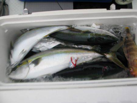 Aquanaut(アクアノート) 釣果