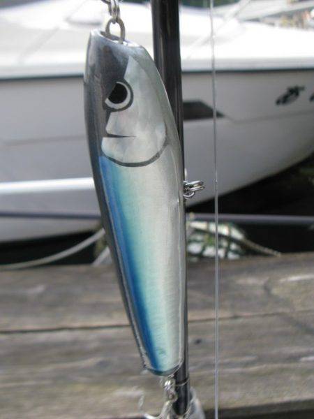 Aquanaut(アクアノート) 釣果