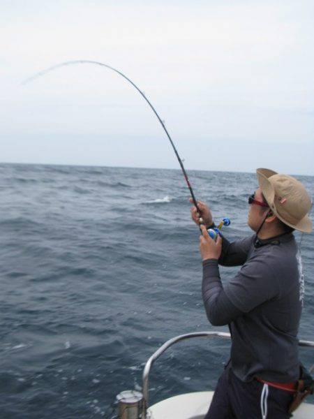 Aquanaut(アクアノート) 釣果