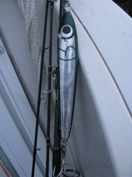 Aquanaut(アクアノート) 釣果