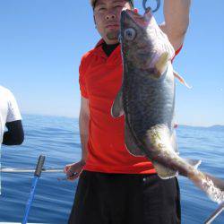 Aquanaut（アクアノート） 釣果