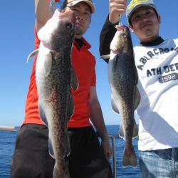 Aquanaut（アクアノート） 釣果