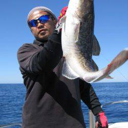 Aquanaut（アクアノート） 釣果