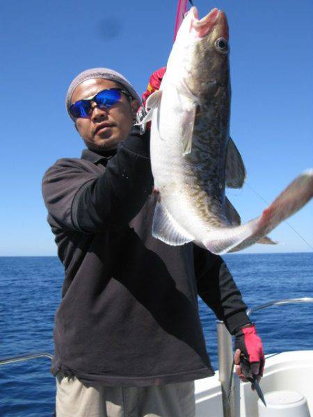 Aquanaut（アクアノート） 釣果