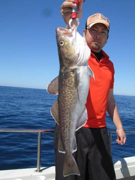 Aquanaut（アクアノート） 釣果