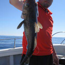 Aquanaut（アクアノート） 釣果