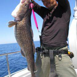 Aquanaut（アクアノート） 釣果