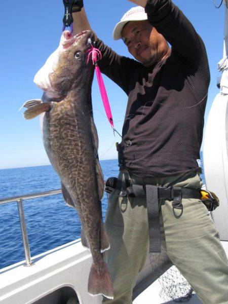 Aquanaut（アクアノート） 釣果