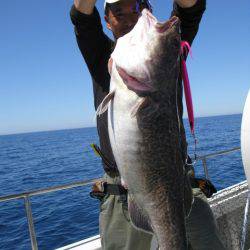 Aquanaut（アクアノート） 釣果