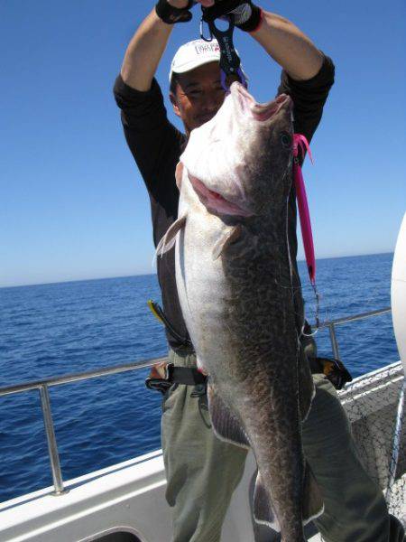 Aquanaut（アクアノート） 釣果