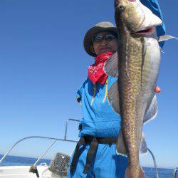 Aquanaut（アクアノート） 釣果