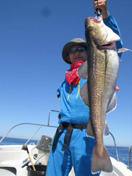 Aquanaut（アクアノート） 釣果