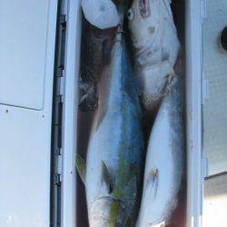 Aquanaut（アクアノート） 釣果