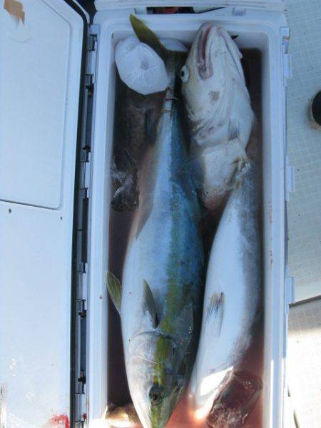 Aquanaut（アクアノート） 釣果