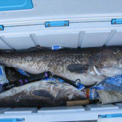 Aquanaut（アクアノート） 釣果