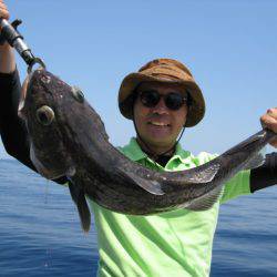 Aquanaut(アクアノート) 釣果