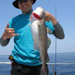 Aquanaut(アクアノート) 釣果