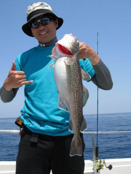 Aquanaut(アクアノート) 釣果