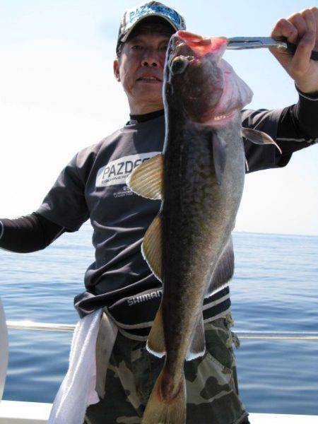 Aquanaut(アクアノート) 釣果