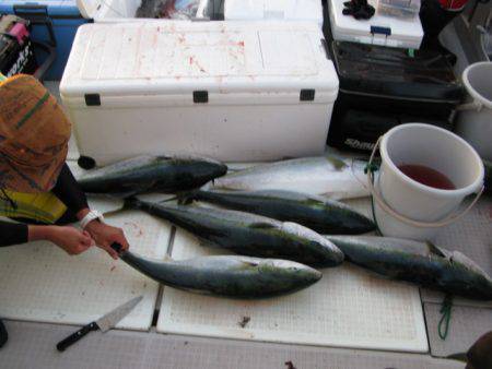 Aquanaut(アクアノート) 釣果