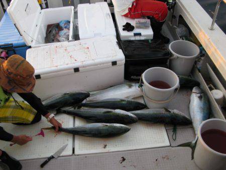 Aquanaut(アクアノート) 釣果