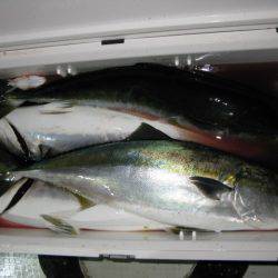 Aquanaut(アクアノート) 釣果