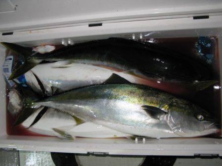 Aquanaut(アクアノート) 釣果