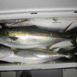 Aquanaut(アクアノート) 釣果