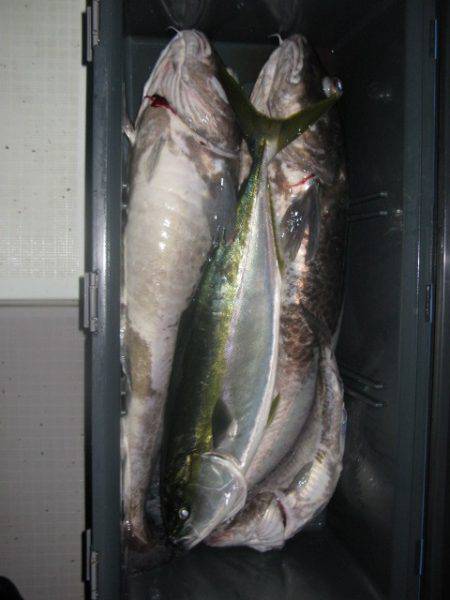 Aquanaut(アクアノート) 釣果