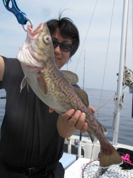 Aquanaut（アクアノート） 釣果