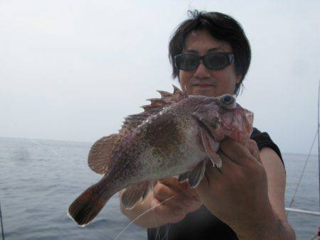 Aquanaut（アクアノート） 釣果